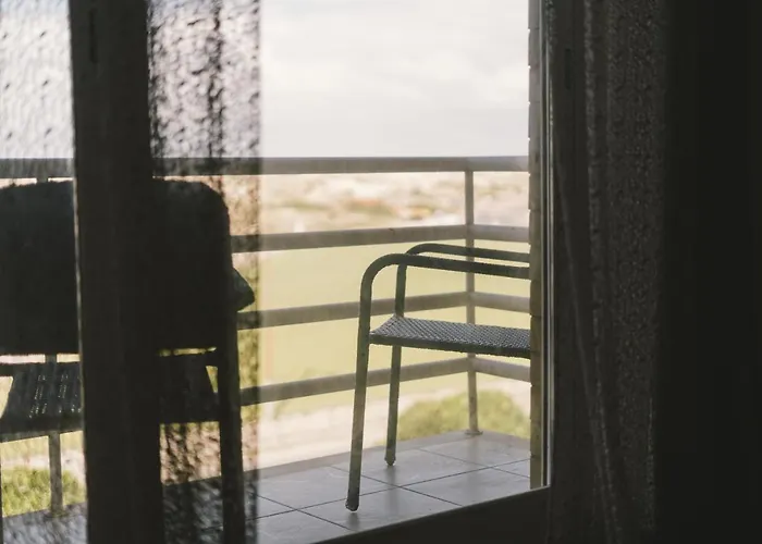 33 - Conchas Do Mar *